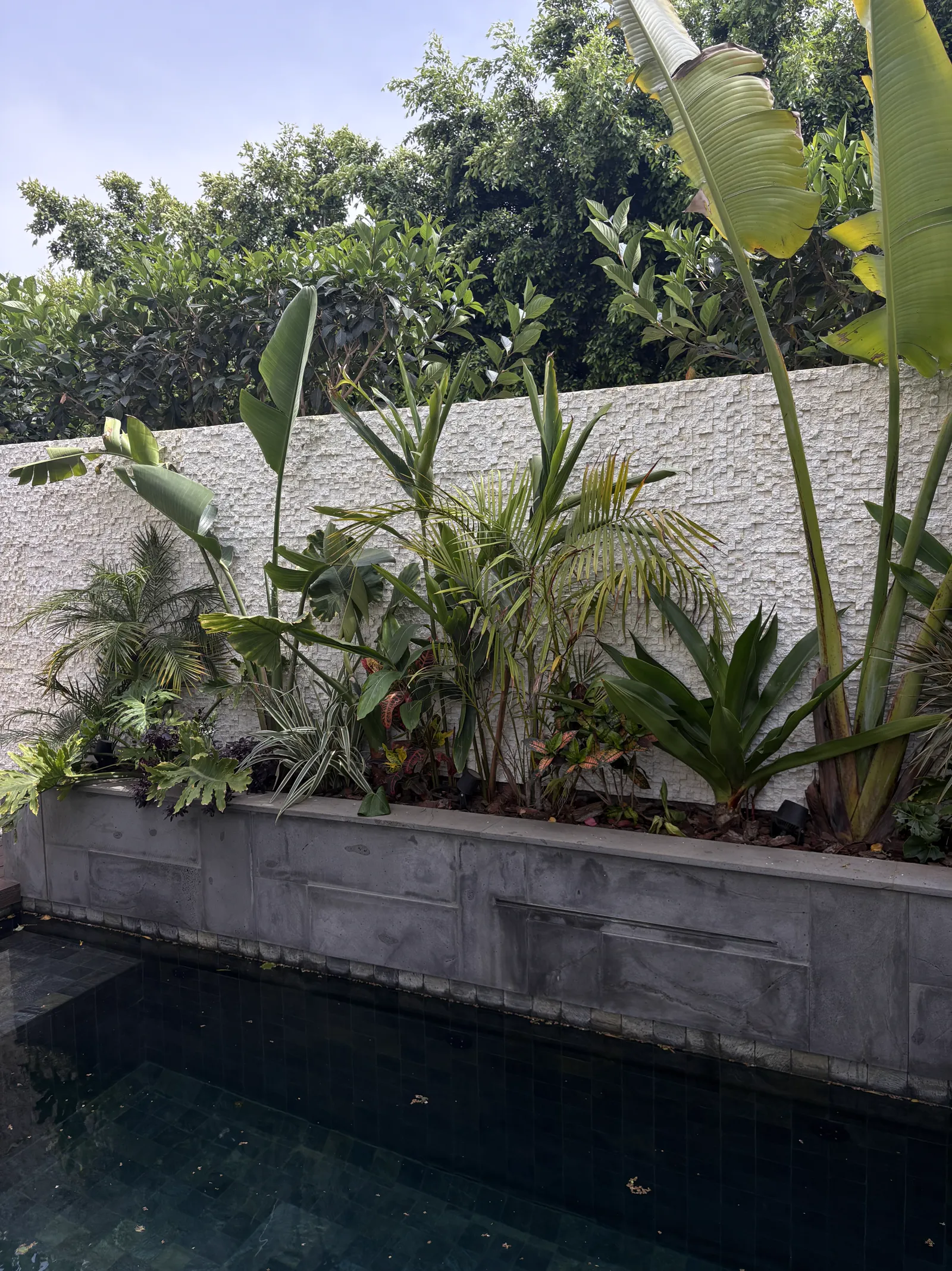 Mur de jardin au bord de la piscine en Cubo blanc — Casablanca
